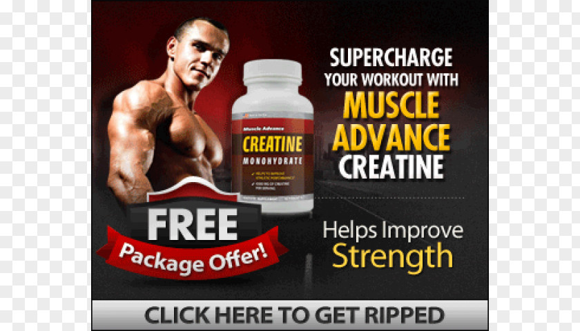 Bodybuilding Dietary Supplement Creatine Muscle Hypertrophy PNG