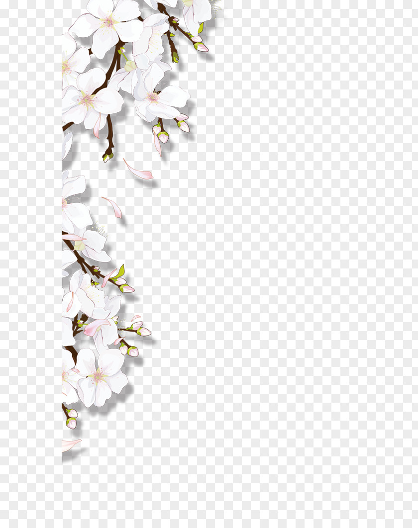 Flowers Background PNG background clipart PNG