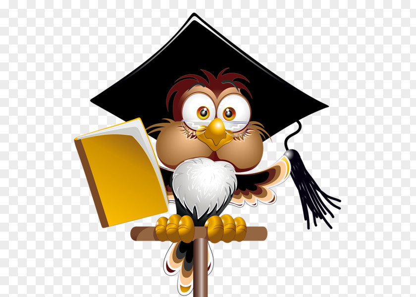 Graduates Owl Book Clip Art PNG