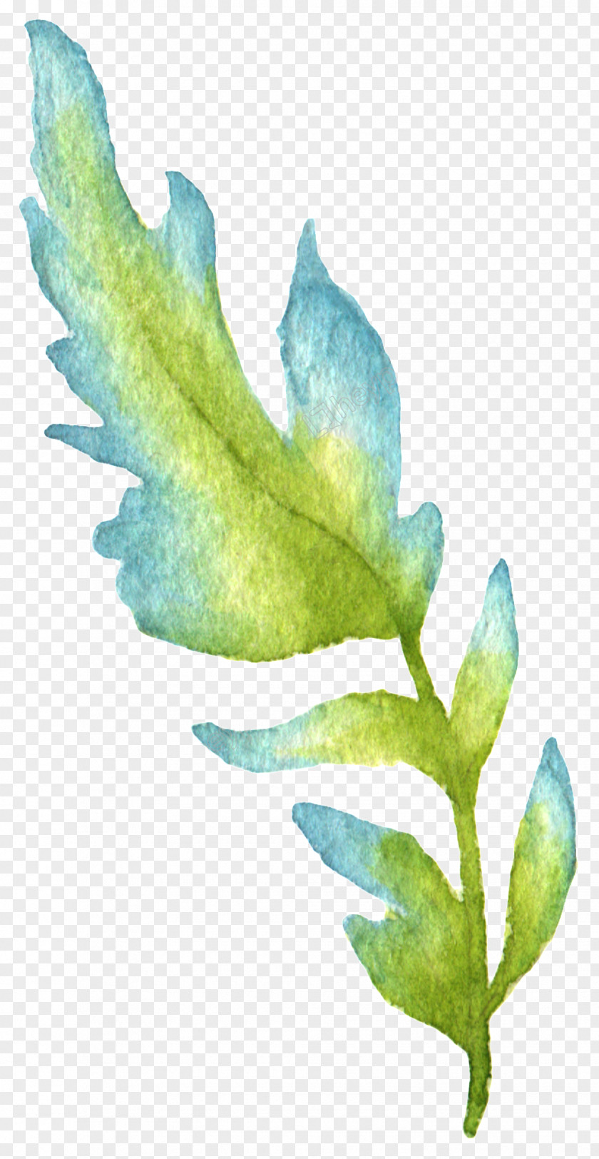 Leaf Watercolor Painting Green Image PNG