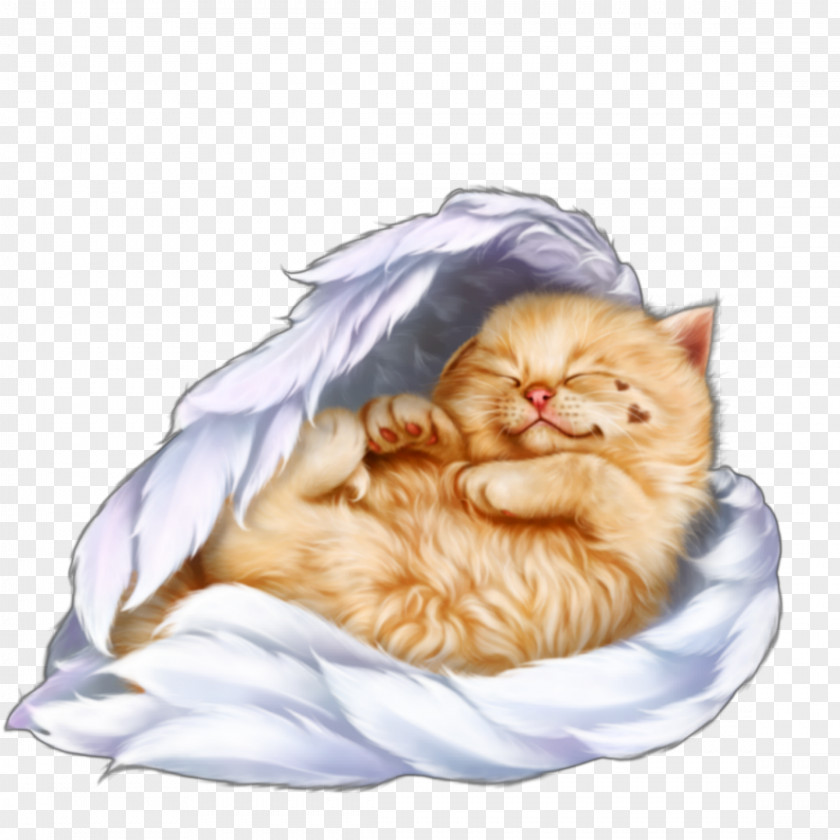Norwegian Forest Cat Tabby Background PNG