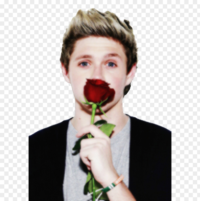 One Direction Niall Horan Over Again PNG