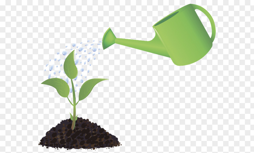 Watering Cans Can Stock Photo Garden Clip Art PNG