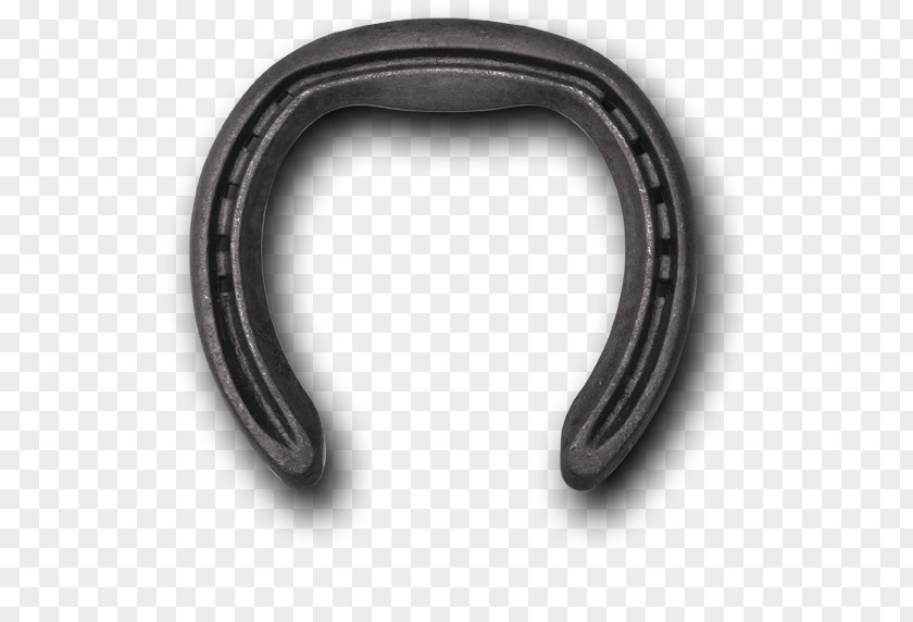 Horseshoe Natural Balance Pet Foods Horseshoes Steel PNG