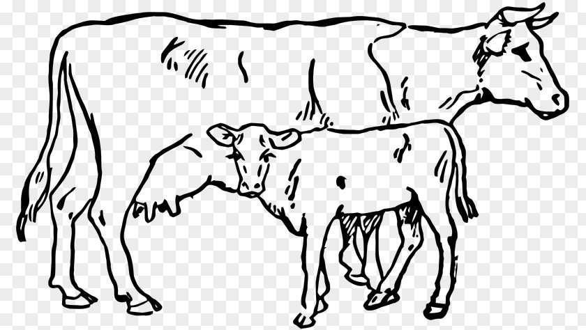 Indira Gandhi Calf Camargue Cattle Angus Clip Art PNG