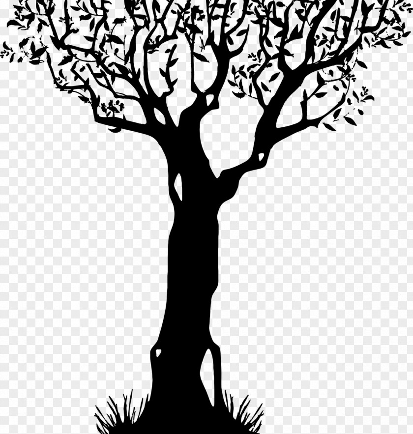 Tree Clip Art PNG