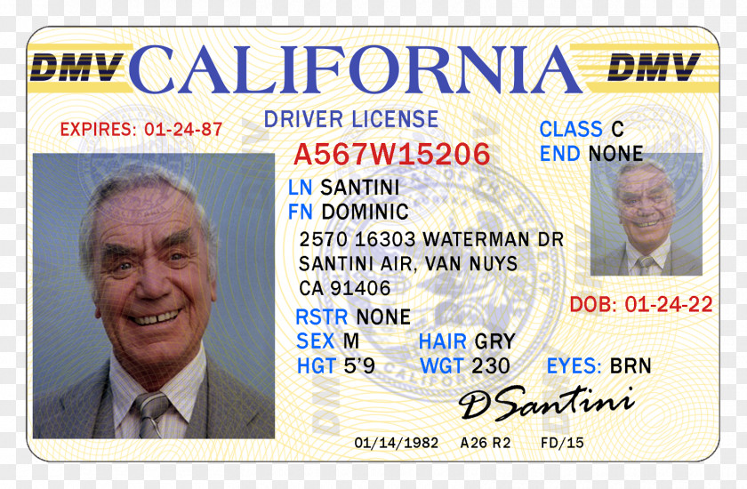 Drivers License California Driver's Dominic Santini Driving PNG