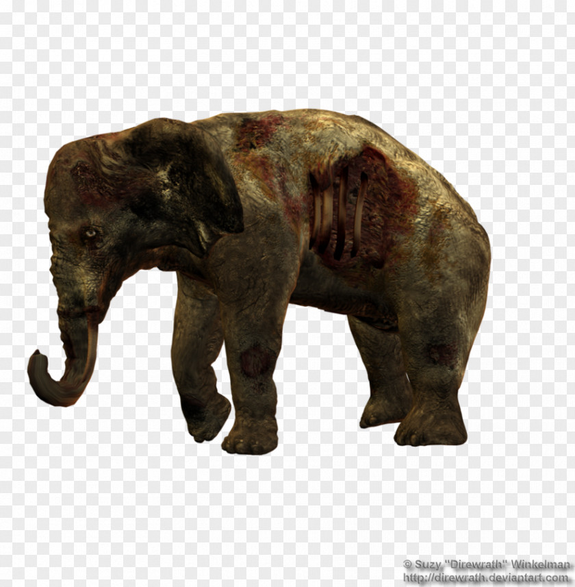 Elephany African Elephant Indian Tusk PNG