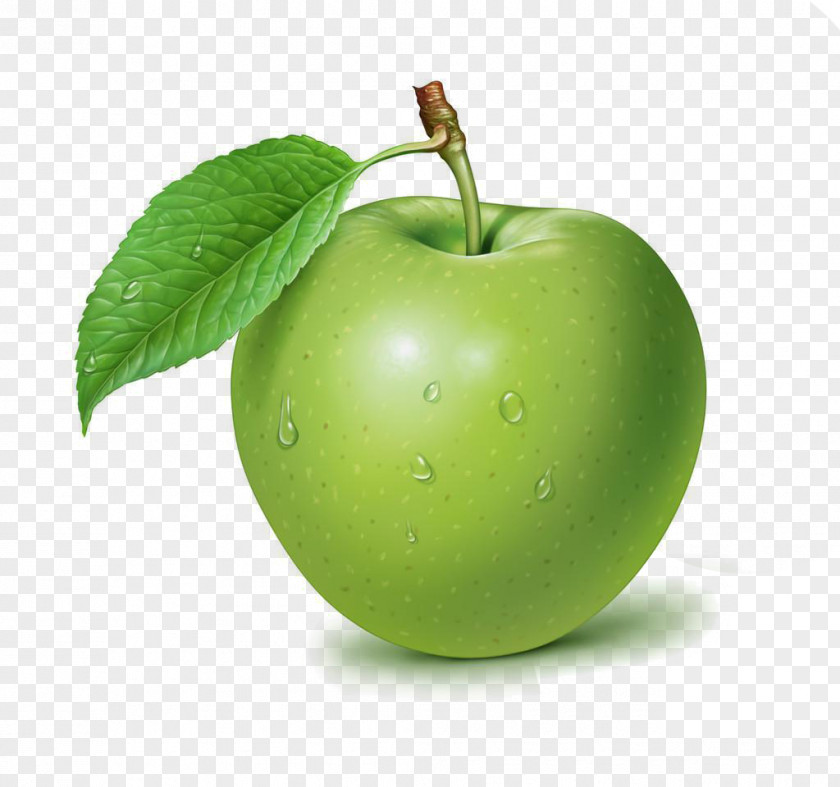Fruit Food Icon Sketch,Beautifully Green Apple Juice Nutrition Extract PNG