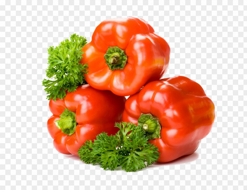 Green Pepper Bell Free Android Application Package PNG