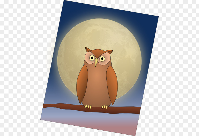 Owl Illustration Bird Moon Clip Art PNG