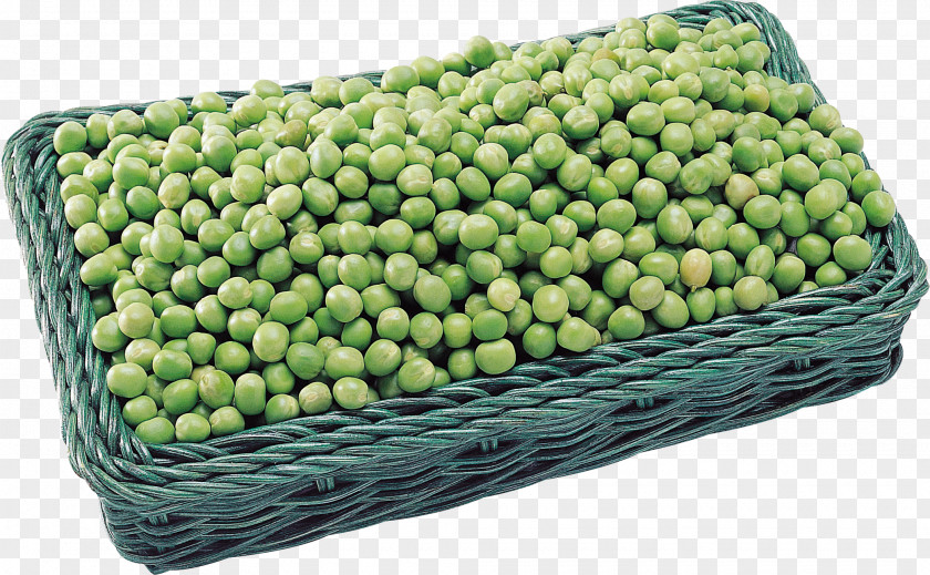 Pea Vegetable Bean PNG