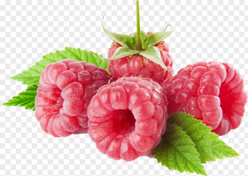 Raspberry Fruit Clip Art Image PNG