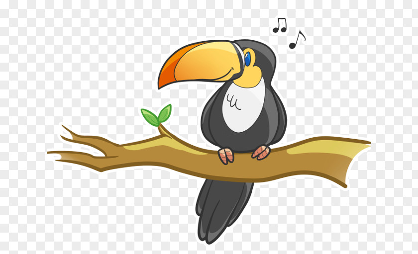 Toucan Bird Penguin Piciformes Beak PNG