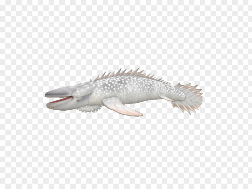 White Whale Alligators Artist Mosasaurus Mosasaurs PNG