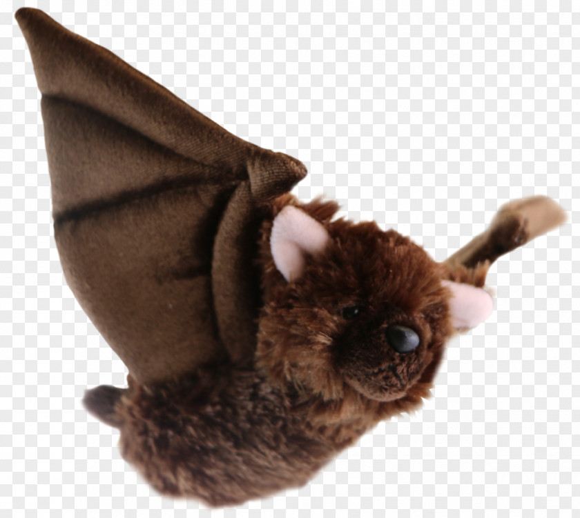 Bat Little Brown Big Canadian Wildlife Federation White-nose Syndrome PNG