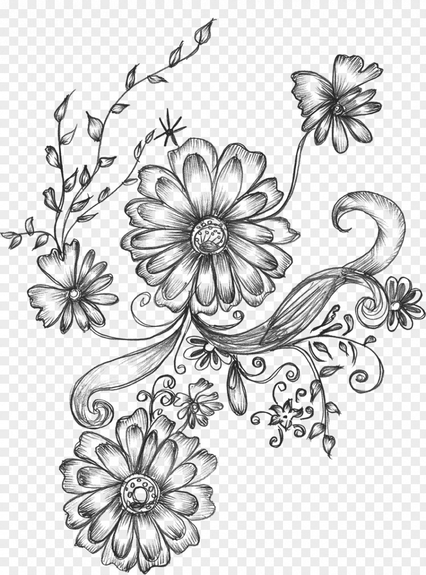 Design Drawing Graphic PNG