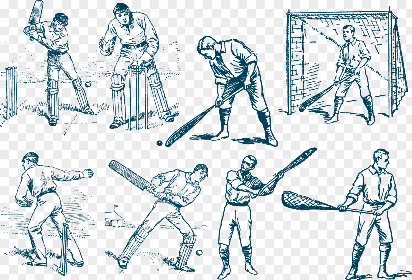 Vector Baseball Cricket Sport Sketch PNG