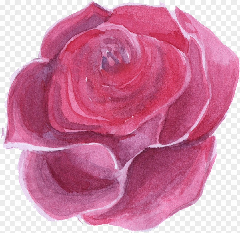 Watercolor Flower Rose Painting PNG