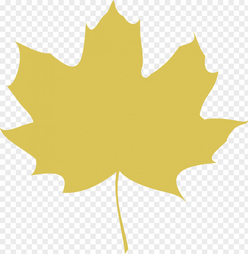 Autumn Logo Collection Yellow Leaves Red Maple Lea Leaf Color Clip Art PNG