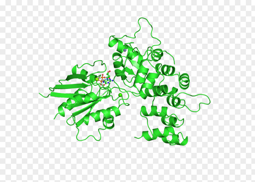 Chemical Biology Tree Clip Art PNG