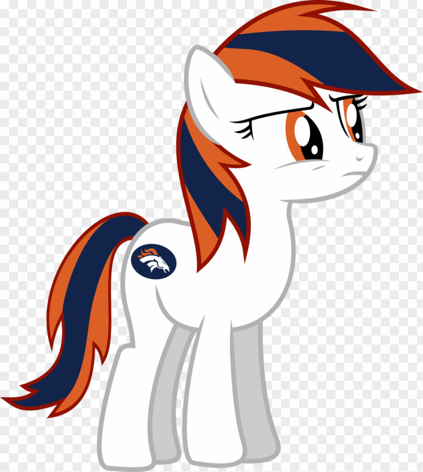 Denver Broncos Pony American Football Seattle Seahawks NFL PNG