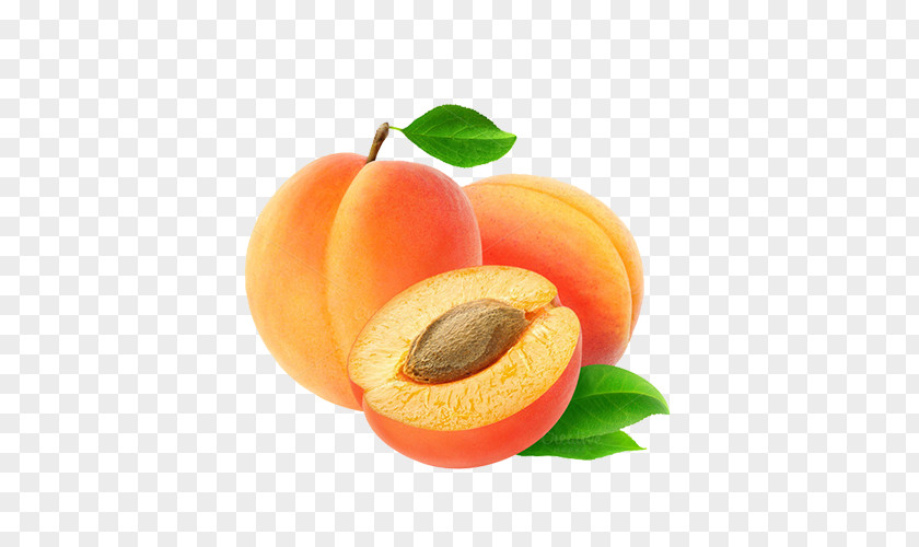 Fruit European Plum Food Apricot Kernel PNG