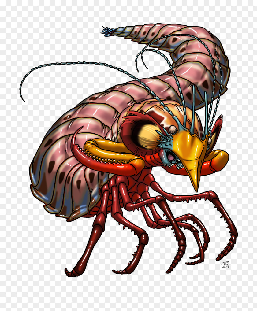 Mantis Shrimp Lobster Insect Dragon Cartoon PNG