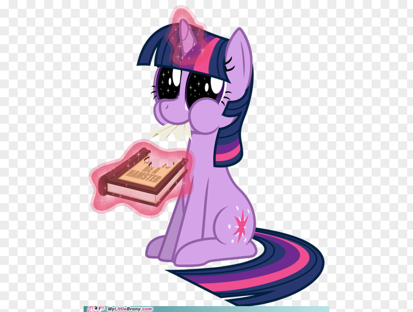 My Little Pony Twilight Dress GIF Derpy Hooves DeviantArt Image PNG