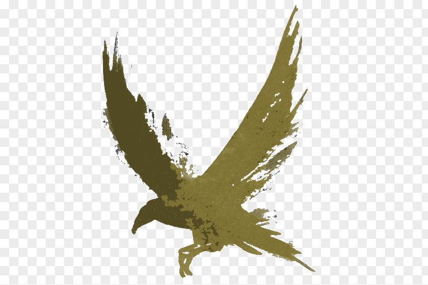 Plant Osprey Golden Eagle Bird Wing Kite PNG