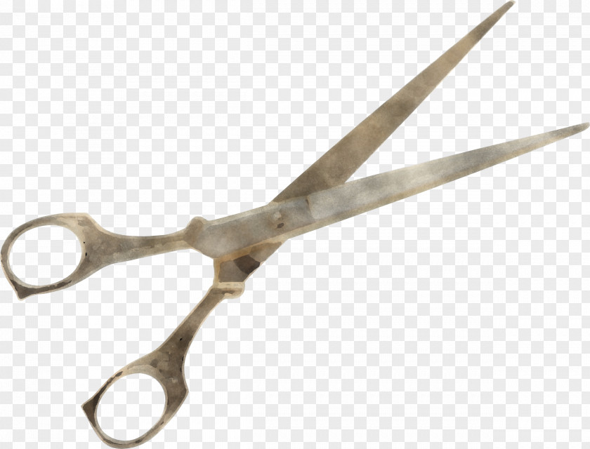 Scissors Surgical Instrument Cutting Tool Hair Shear PNG