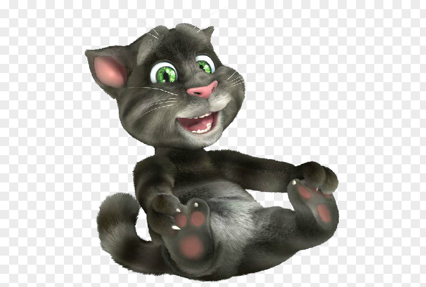 Cat Talking My Tom And Friends PNG