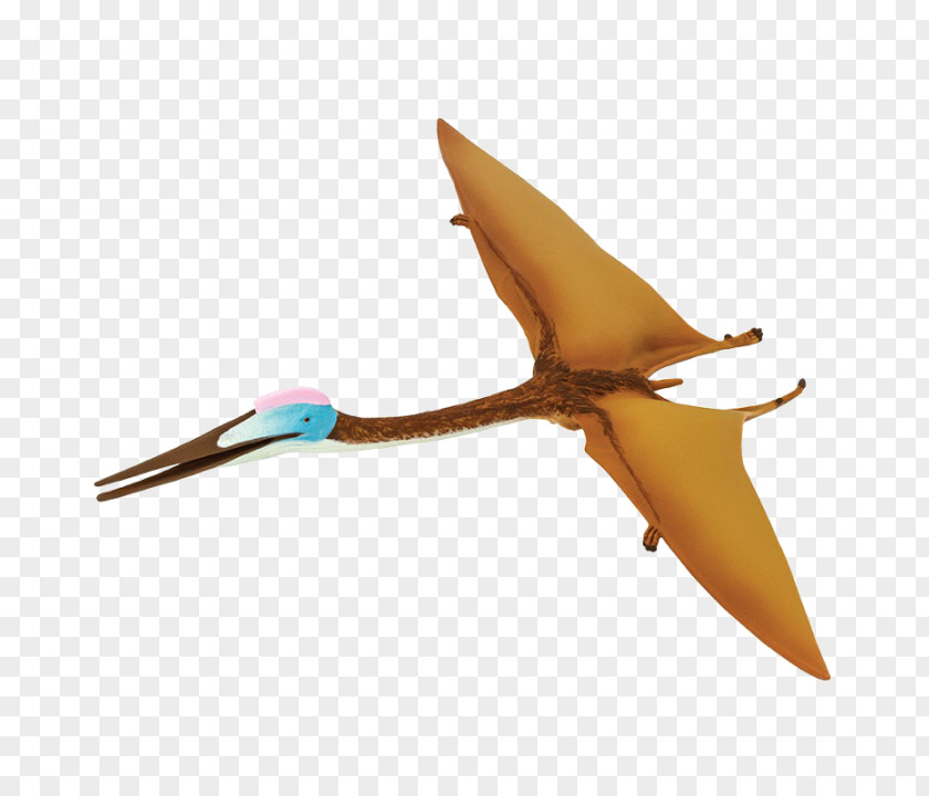 Dinosaur Quetzalcoatlus Safari Ltd Psittacosaurus Pterosaurs PNG