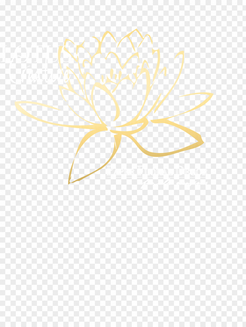Lotus Creative Petal Floral Design Douchegordijn Flower PNG