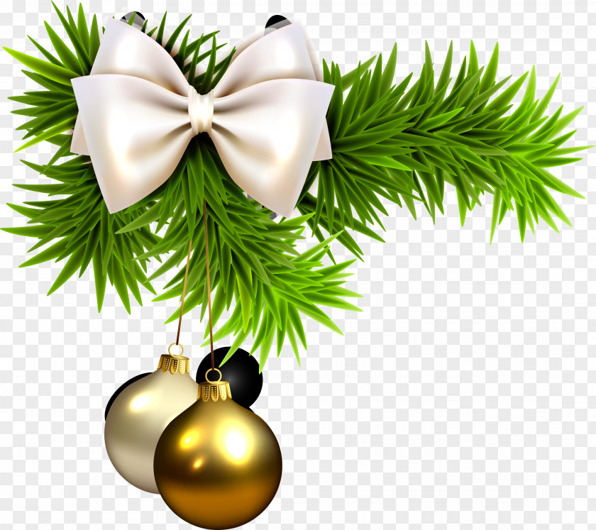 Christmas Green Grass PNG