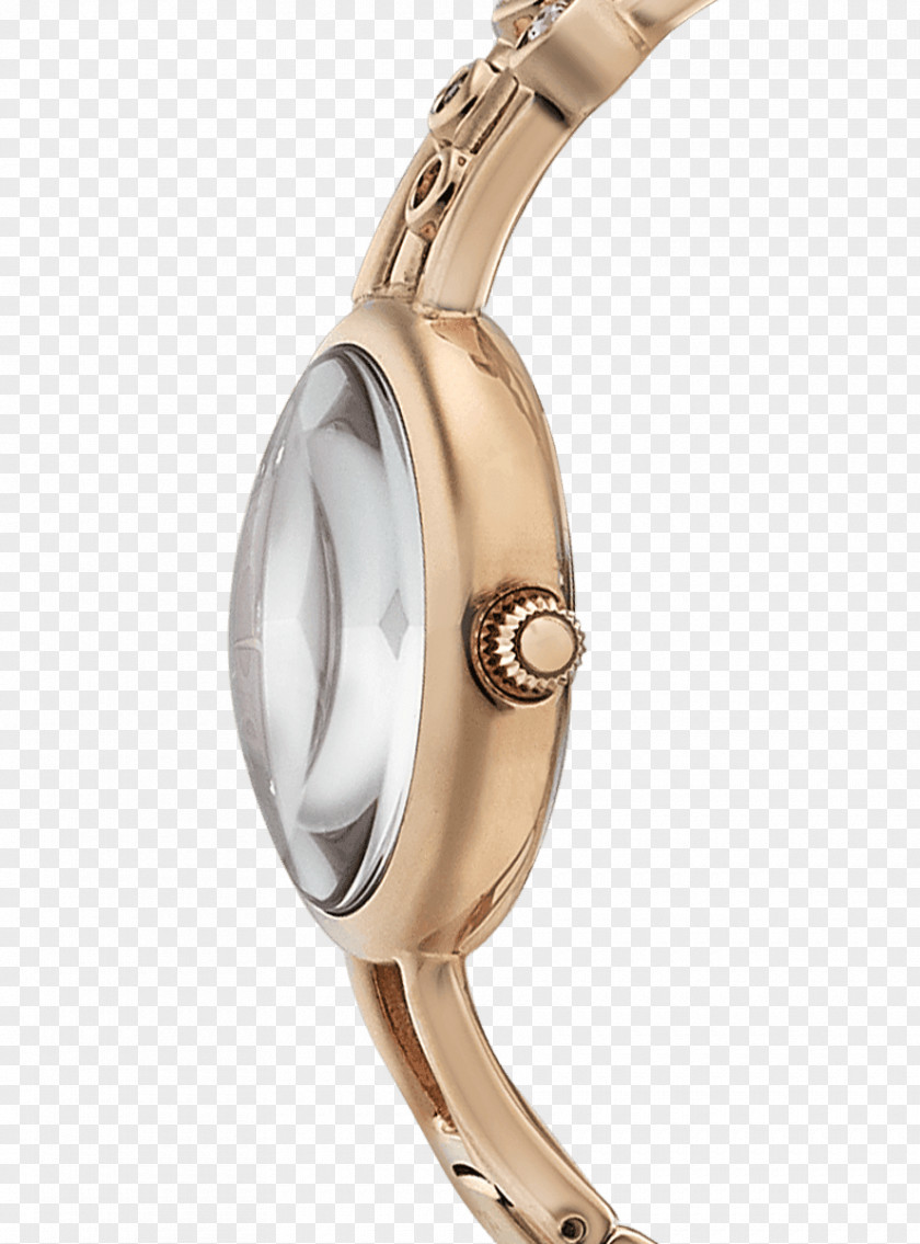 Clock Titan Company Metal Watch Material PNG