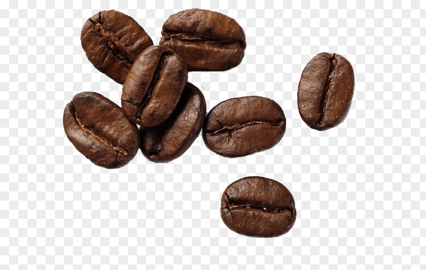 Coffee Bean Cafe Espresso Roasting PNG