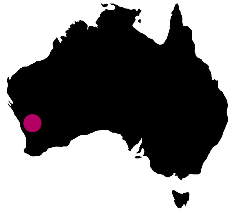 Gimlet Media Australia Silhouette PNG