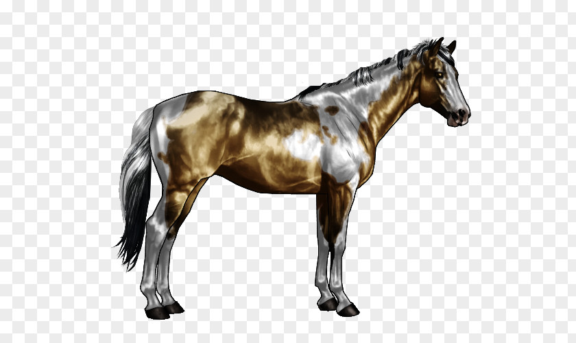 Horse Pattern American Paint Appaloosa Overo Roan Tobiano PNG