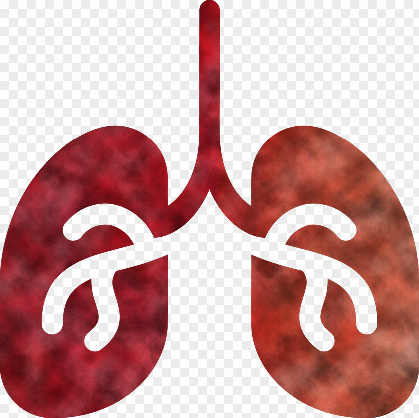 Lung Medical Healthcare PNG