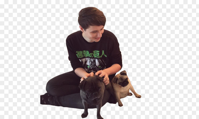 Pug Transparent Doug The Dan And Phil Amazing Book Is Not On Fire YouTube PNG