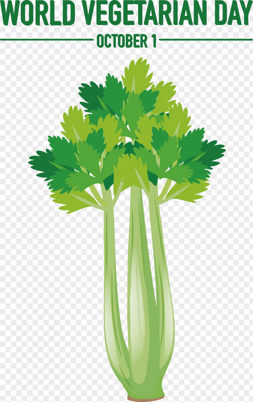 Radish Vegetable Root Vegetables Drawing Line Art PNG