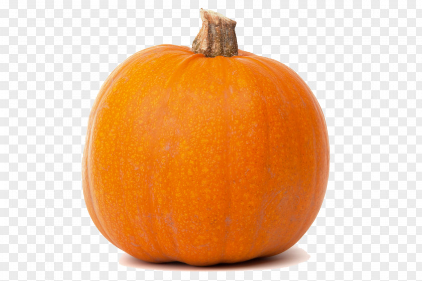 Real Pumpkin Transparent Jack-o-lantern Calabaza Butternut Squash Cucurbita PNG