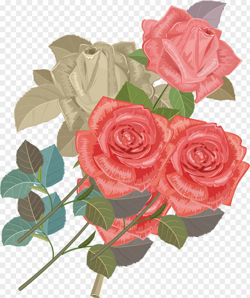 Rose Creative Garden Roses Centifolia Beach Flower Bouquet PNG