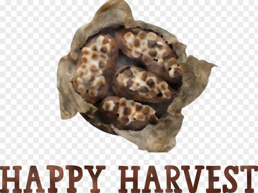 Happy Harvest Harvest Time PNG