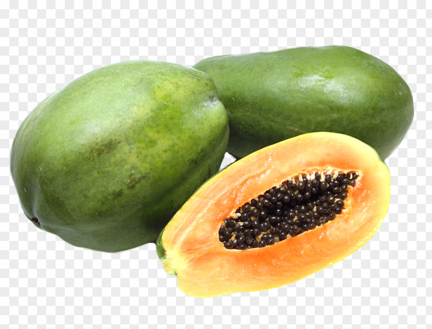 Papaya Fruit Tree Pawpaw PNG