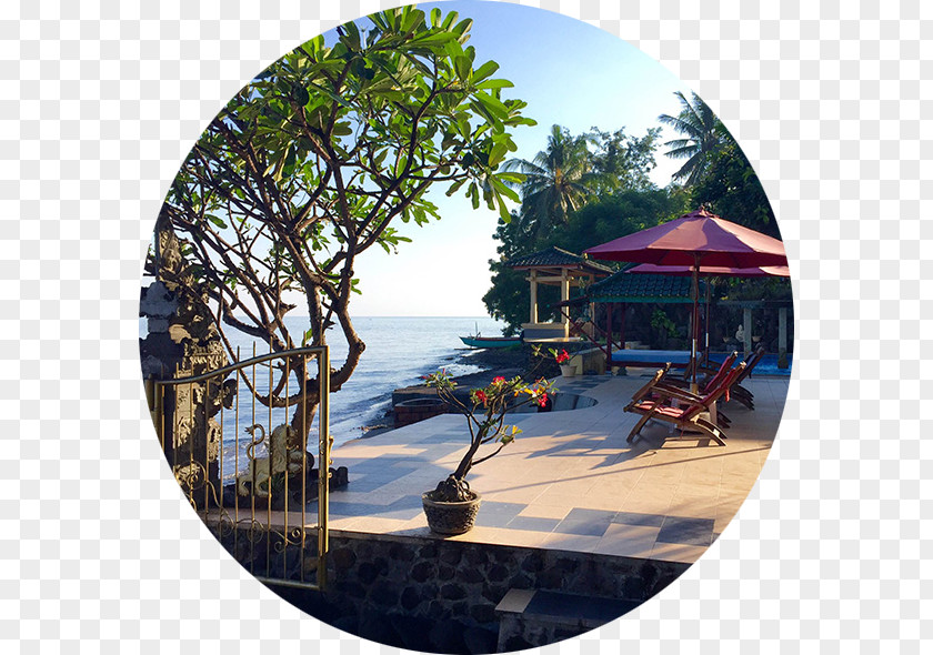Egmond Aan Zee Lovina Beach Singaraja Hotel Pantai-Mas, The Bali Experience PNG