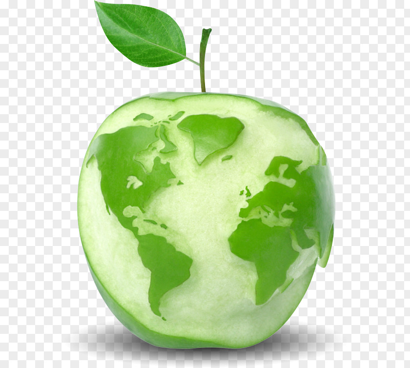 GREEN APPLE Apples Apple Cider Vinegar Food Company PNG