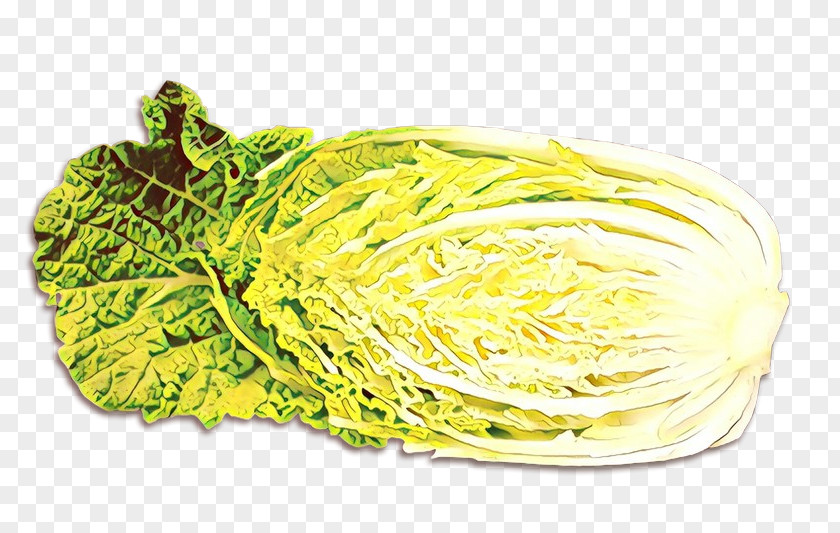 Iceburg Lettuce Leaf Vegetable Vegetables Cartoon PNG