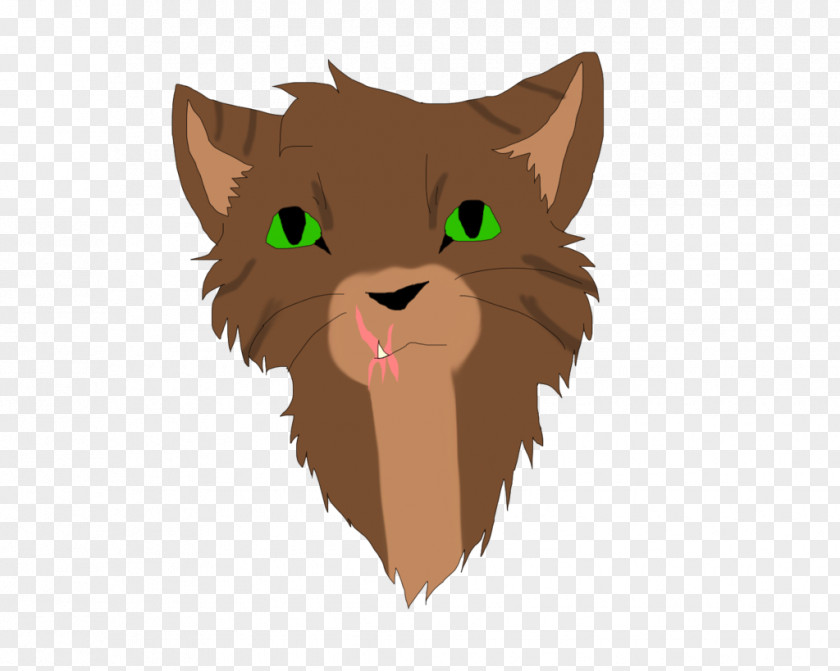 Kitten Whiskers Wildcat Tabby Cat PNG